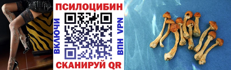 Галлюциногенные грибы Cubensis  Кандалакша 
