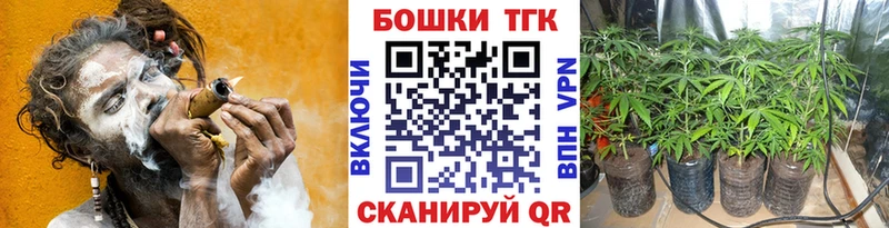 Конопля планчик  Кандалакша 